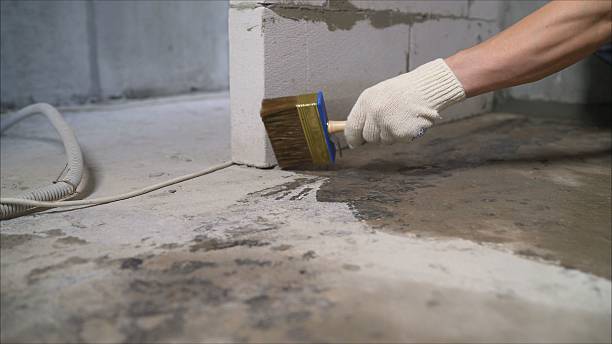 24/7 Emergency Crawl Space Encapsulation experts in Hillside, NJ